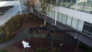 Vca4K - Google Hq Mountain View, Ca