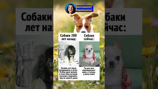 Братья наши меньшие 😂 #смешно #юмор #прикол #анекдот #смех
