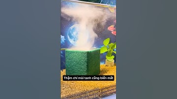 Than Hoạt Tính Lọc Nước Cho Bể Cá Cải Thiện Môi Trường Nước Cục Hiệu Quả #aquarium #youtubeshorts