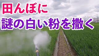 【白い粉】ゼオライトって何！？