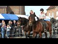 parade with 100 horses, to commemorate Orange I, famous ancestor of the Belgian draft horse breed