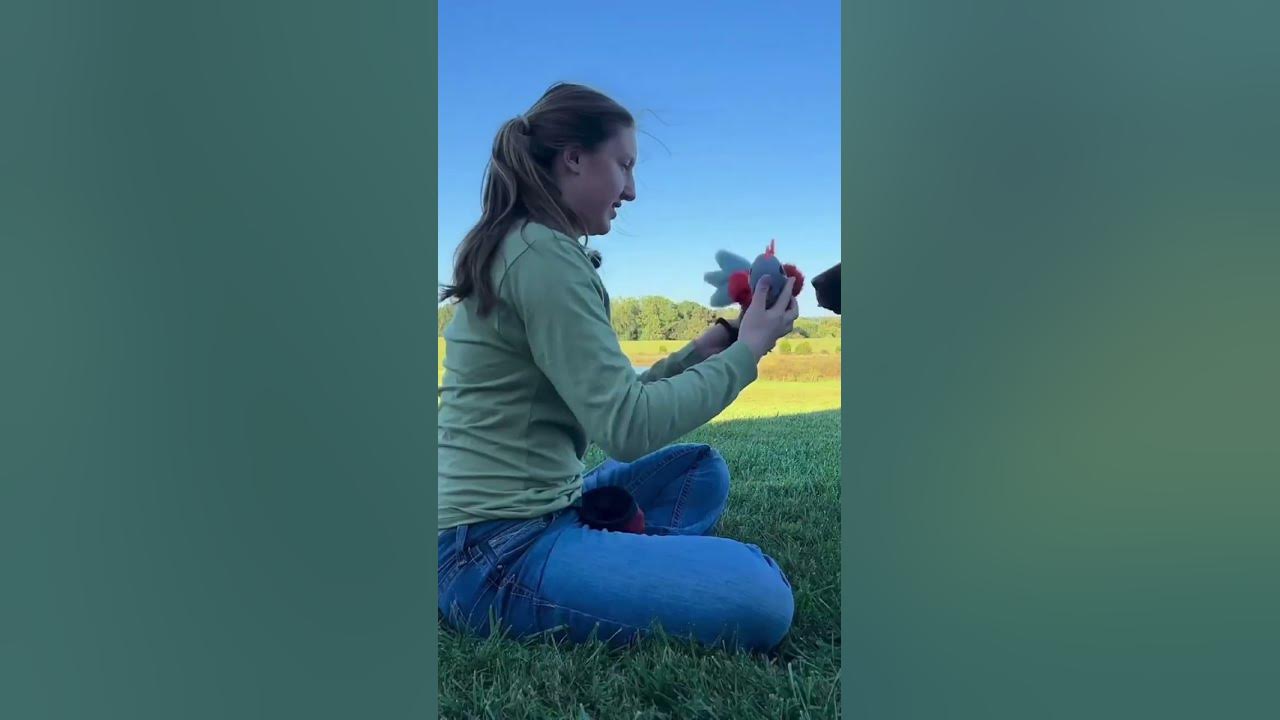 drop-it-the-easiest-way-to-teach-any-dog-how-to-drop-anything-part