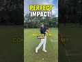 Improve your contact!
