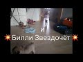 Видосик про свой мини зоопарк:) &quot;Для чего?&quot; - спросите. Ответ в описании)