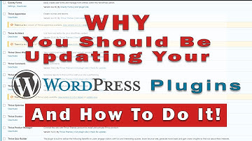 Why You Should Be Updating Your WordPress Plugins  And How To Do It