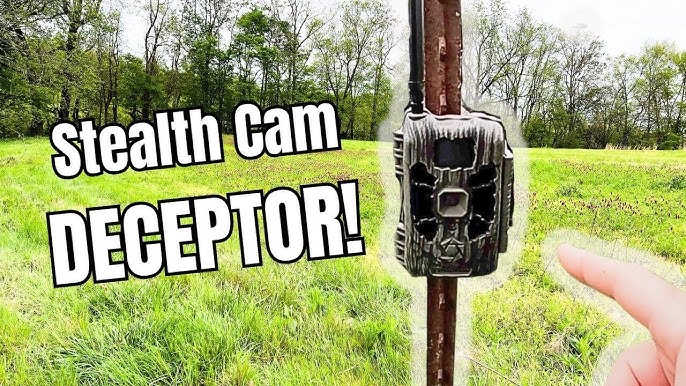 Cut to the Chase With the Moultrie Mobile Edge Pro Cellular Trail Cam