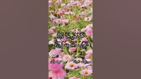 تلاوة رائعة سورة آل عمران 😍| عبيد زكى الكردى #القرآن #quran #حالات #سورة #ستوريات #تلاوة #ترند #ﷺ