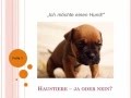 ZB1 GoetheÖSD: Ein Thema präsentieren - Haustiere