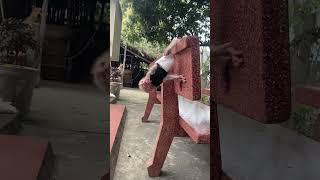 Baby Doing Yoga Is Awesome