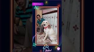 App: BGM Master : Video Status Maker & Photo Slideshow App #slideshow #whatsappstatus 2021 screenshot 5