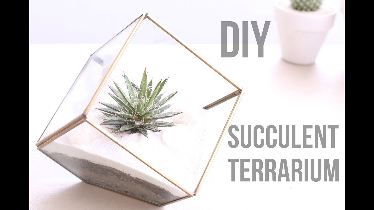 DIY Succulent Terrarium Ideas