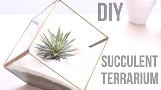 DIY Succulent Terrarium and Air Plant Terrarium Ideas. Instagram: https://www.instagram.com/christineko... Twitter: https://twitter.com