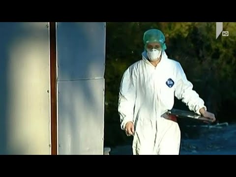 ახალი კორონავირუსის გავრცელების სტატისტიკა