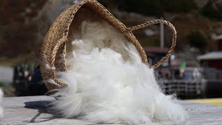 Angora Borealis! The Process of Crafting Angora Wool