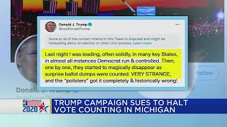 Trump campaign sues to halt vote counting in Michigan Wealth