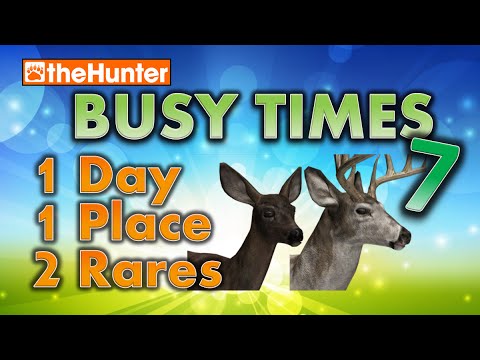 theHunter Hunting Game - Busy Times 7 - 1 Day, 1 Place, 2 Rares