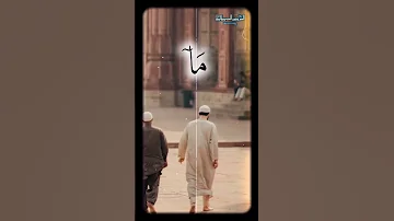 قال إنما يتقبل الله من المتقين الشيخ سيد سعيد سيد سعيد المائده 