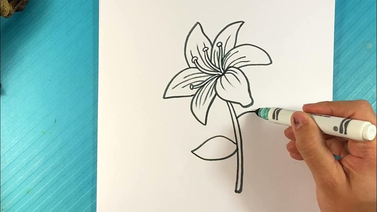 How to Draw a FLOWER REALISTIC - Lili - YouTube