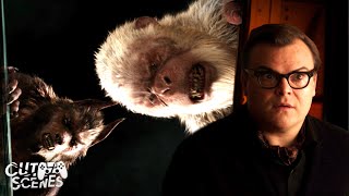School Bus Explosion Decoy | Goosebumps (Jack Black, Dylan Minnette)