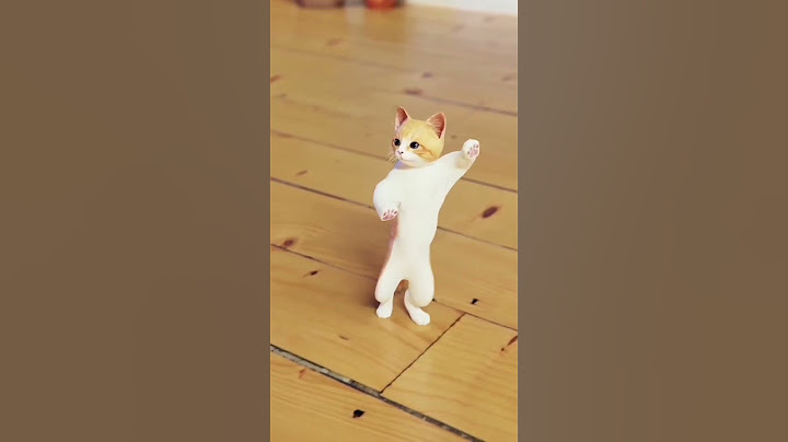 Kamariya Gole Gole dole raja ji very funny 🤣| bhojpuri whatsapp cat video 😸| cat dance 😹|#cat#sorts