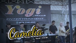 CAMELIA ~ @Ica