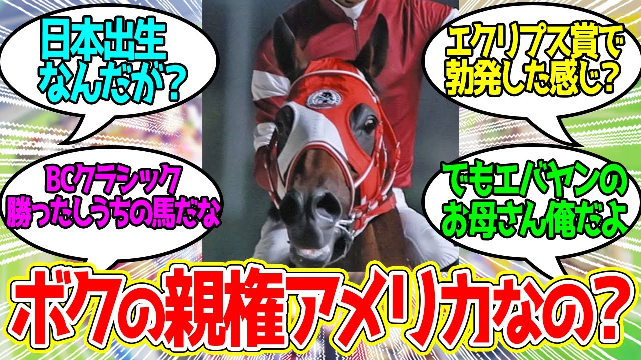 フォーエバーヤングの親権問題に対するみんなの反応【競馬の反応集】