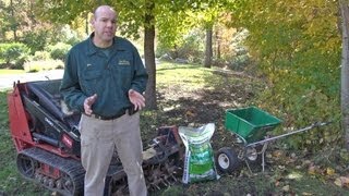 When is the Best Time to Seed a Lawn