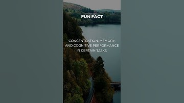 The Cognitive Boost: How Chewing Gum Enhances Focus and Memory