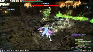 [Vindictus] Misty Summit - Foreman Markan [Glitch]
