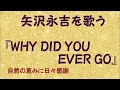 『WHY DID YOU EVER GO』/矢沢永吉を歌う_548 by 自然の恵みに日々感謝