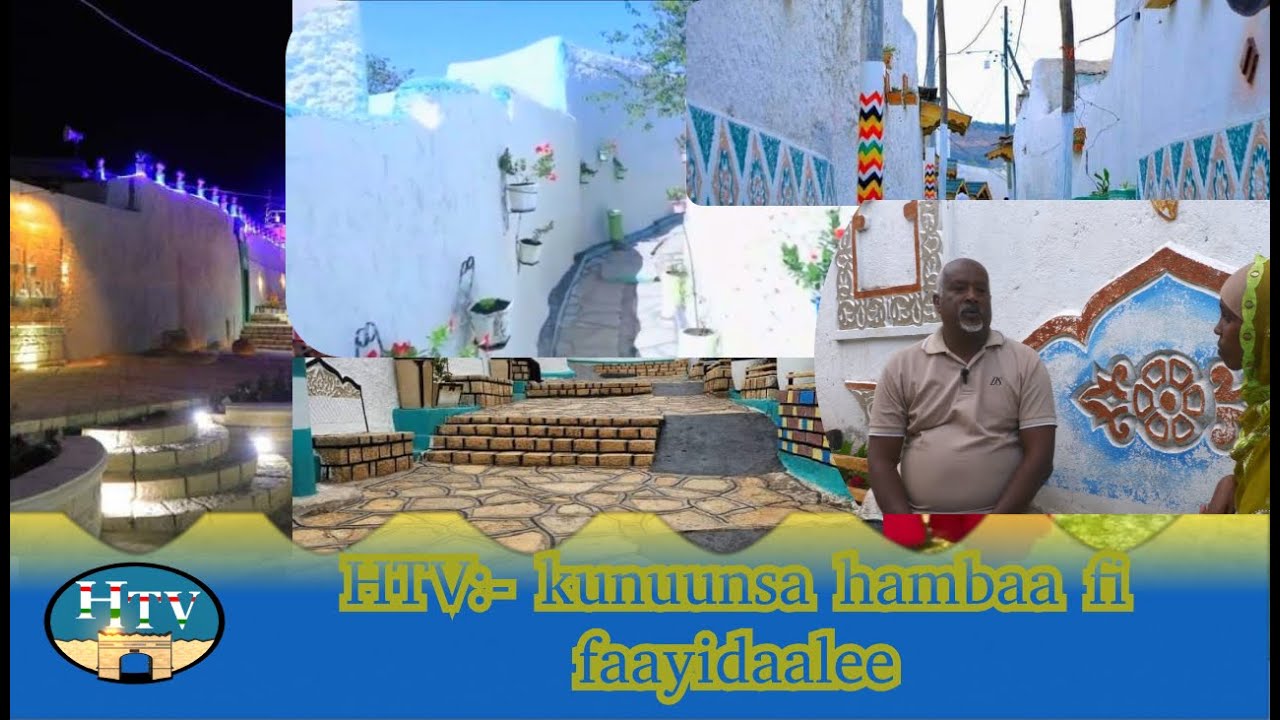HTV:- kunuunsa hambaa fi faayidaalee