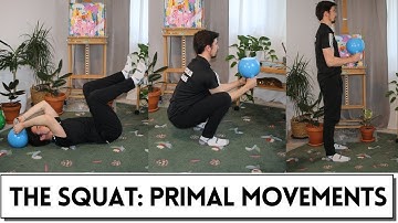 The Squat: Exercises and Form for the 1st Primal Movement