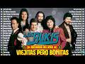 LOS BUKIS VIEJITAS PERO BONITAS 90S - LOS BUKIS MIX DE EXITOS SUS MEJORES CANCIONES