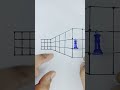 illusion