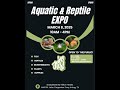 DFWAA Spring 2025 Aquatic & Reptile Expo Vendor spotlight