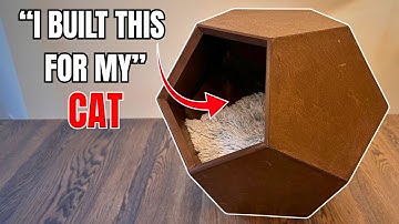 🐱 Ik heb dit voor mijn kat gebouwd (hij was er niet zeker van)