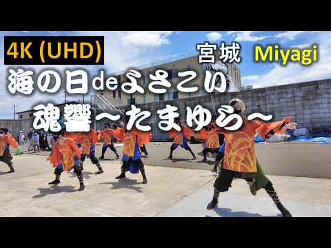 【4K】海の日deよさこい 魂響～たまゆら～（仙台）