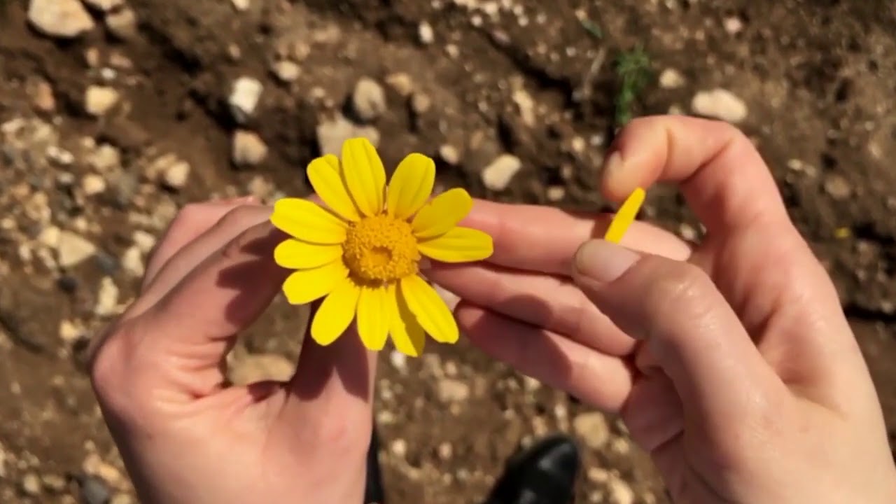 Küskün Yollar ( cover)