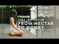Yoga inspiration from nectar to honey  meghan currie yoga