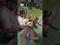 দাঁড়িপাল্লায় দেশি শিং মাছের পোনা মাপা 🐟#fishing #desishing #bdfish #shorts