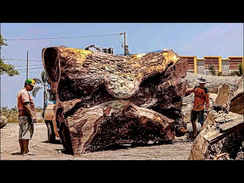 Kayu trembesi bibir domble !! digergaji bahan papan solid I sawmill