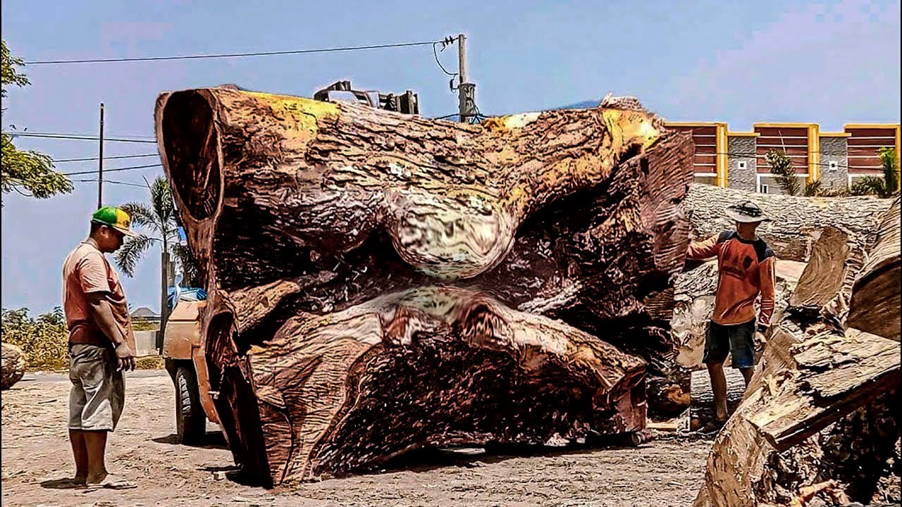 Лес Трембези, губы дьявола, гнездо кобры!! распиловка твердого картона на лесопилке