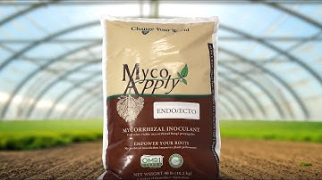 MycoApply Endo/Ecto