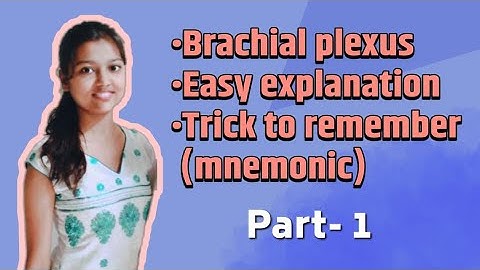 BRACHIAL PLEXUS |EASY EXPLANATION| Trick To Remember√