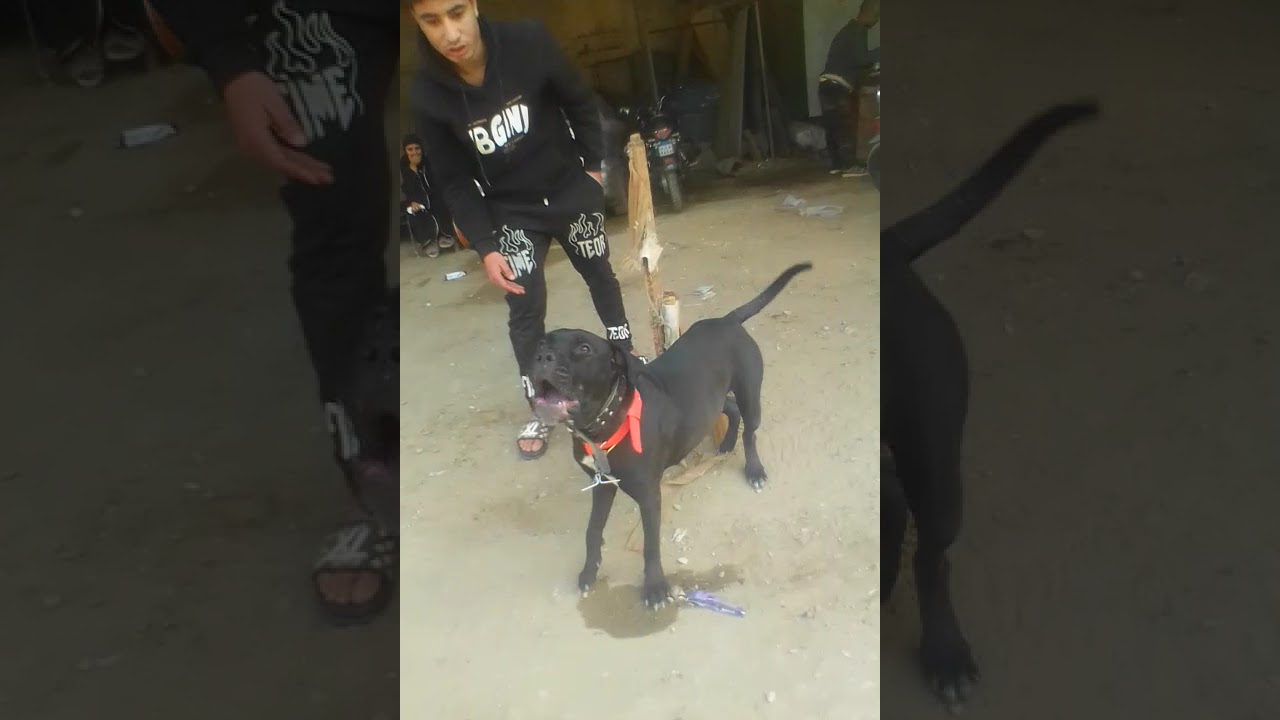 ٢١ فبراير ٢٠٢٦