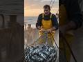 fish selling hotel #usa #trending #subscribe