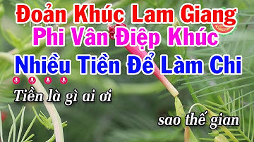 Karaoke Nhiều Tiền Để Làm Chi - Đoản Khúc Lam Giang - Phi Vân Điệp Khúc Dây Kép