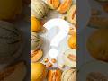Ada Banyak Jenis Melon #fakta #buah #melon