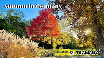 49❤️ Bạn cảm nhận gì về Mùa Thu ở Đức | Autumn in Germany |  Herbst in Deutschland | Cuộc sống ở Đức
