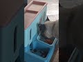 Утро кота. #кот #котик #котэ